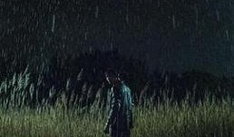 今天的侦探在线观看,今日侦探在线，揭秘神秘案件背后的真相